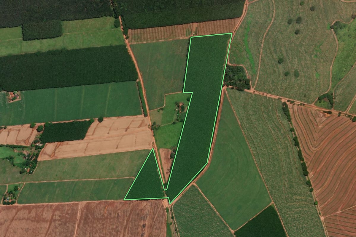 Imagem de satélite do imóvel rural em Tabapuã (SP), com o contorno declarado no CAR desenhado por cima.