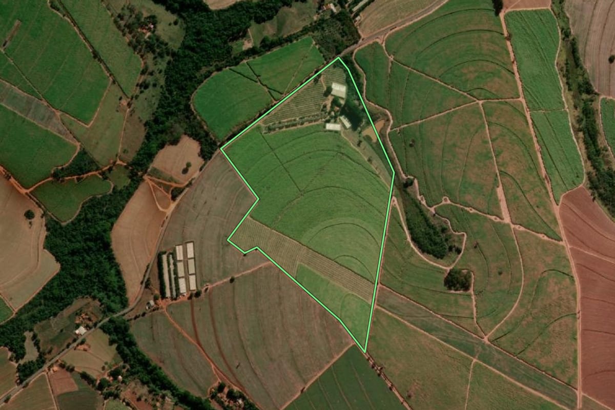 Imagem de satélite do imóvel rural em Tabatinga (SP), com o contorno declarado no CAR desenhado por cima.