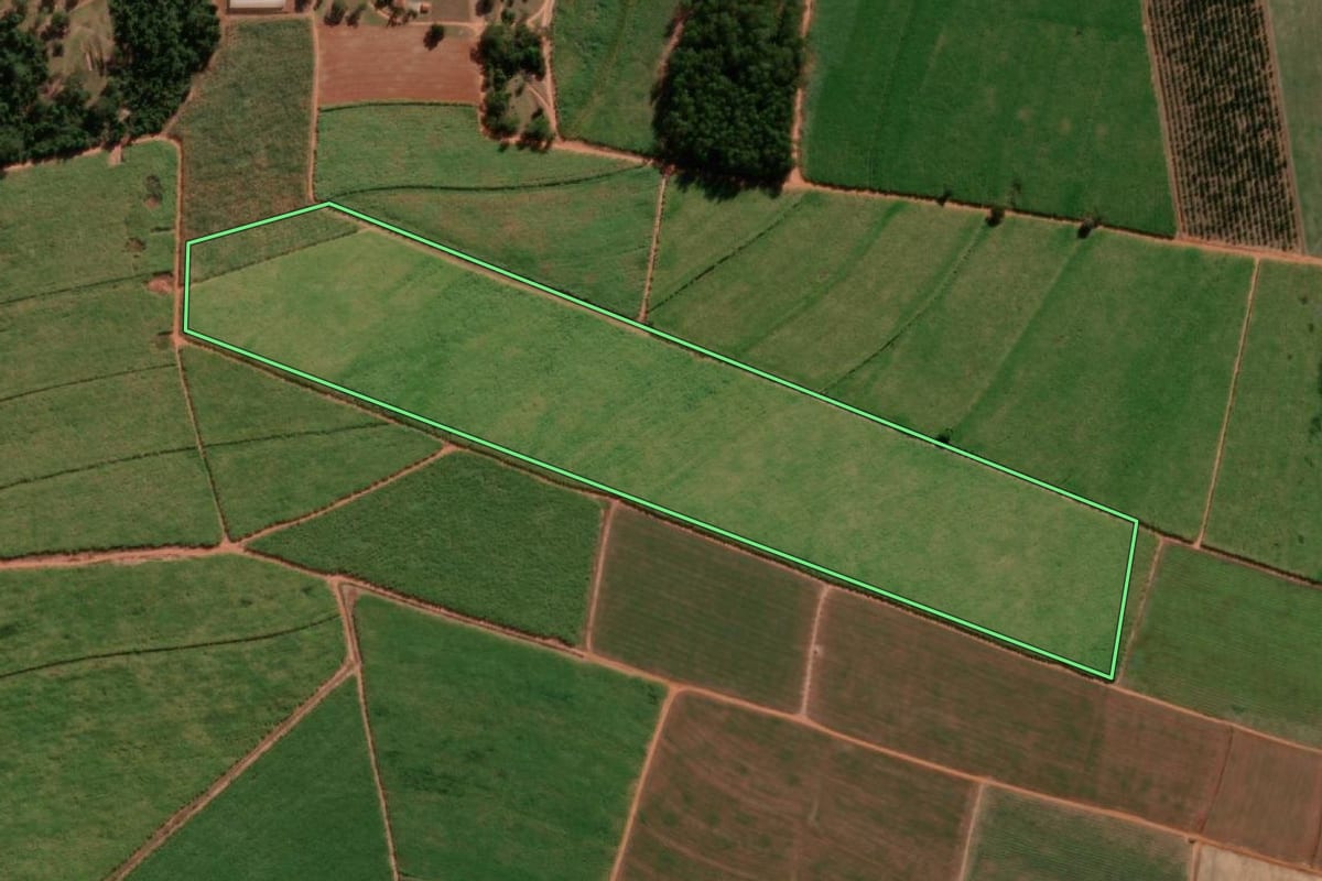 Imagem de satélite do imóvel rural em Tabatinga (SP), com o contorno declarado no CAR desenhado por cima.