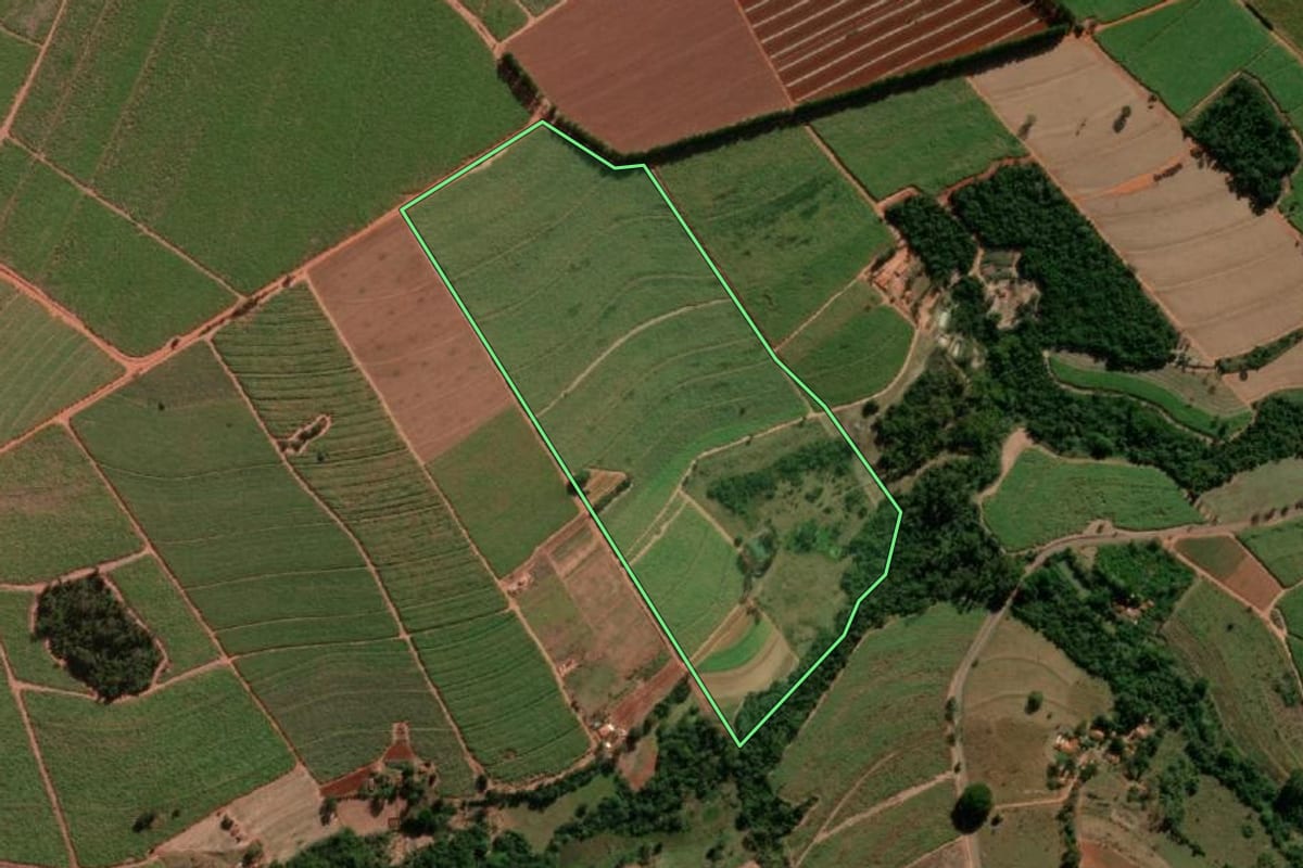 Imagem de satélite do imóvel rural em Tabatinga (SP), com o contorno declarado no CAR desenhado por cima.