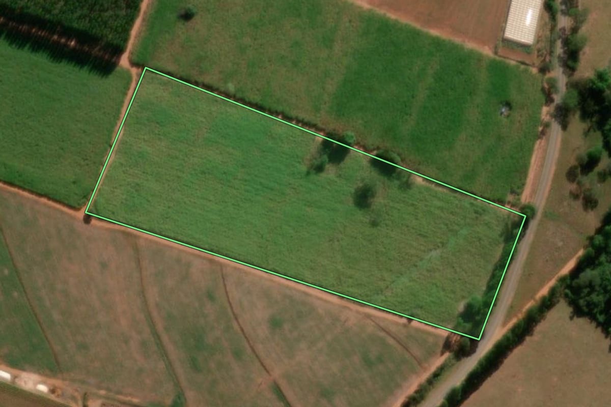 Imagem de satélite do imóvel rural em Tabatinga (SP), com o contorno declarado no CAR desenhado por cima.