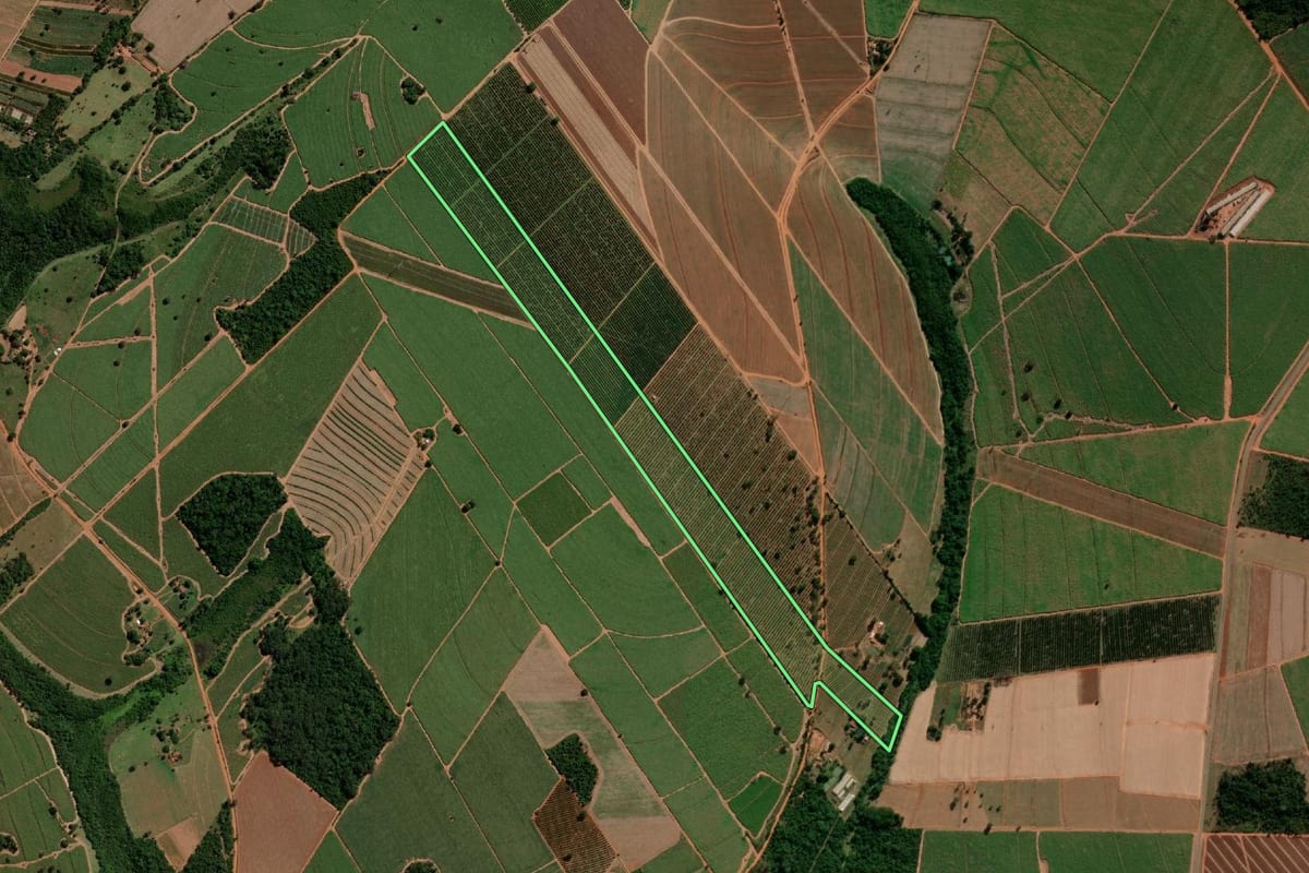 Imagem de satélite do imóvel rural em Tabatinga (SP), com o contorno declarado no CAR desenhado por cima.