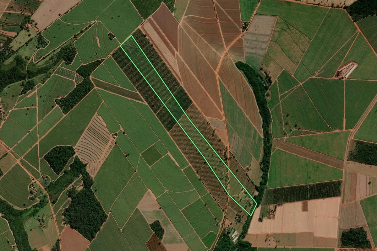 Imagem de satélite do imóvel rural em Tabatinga (SP), com o contorno declarado no CAR desenhado por cima.