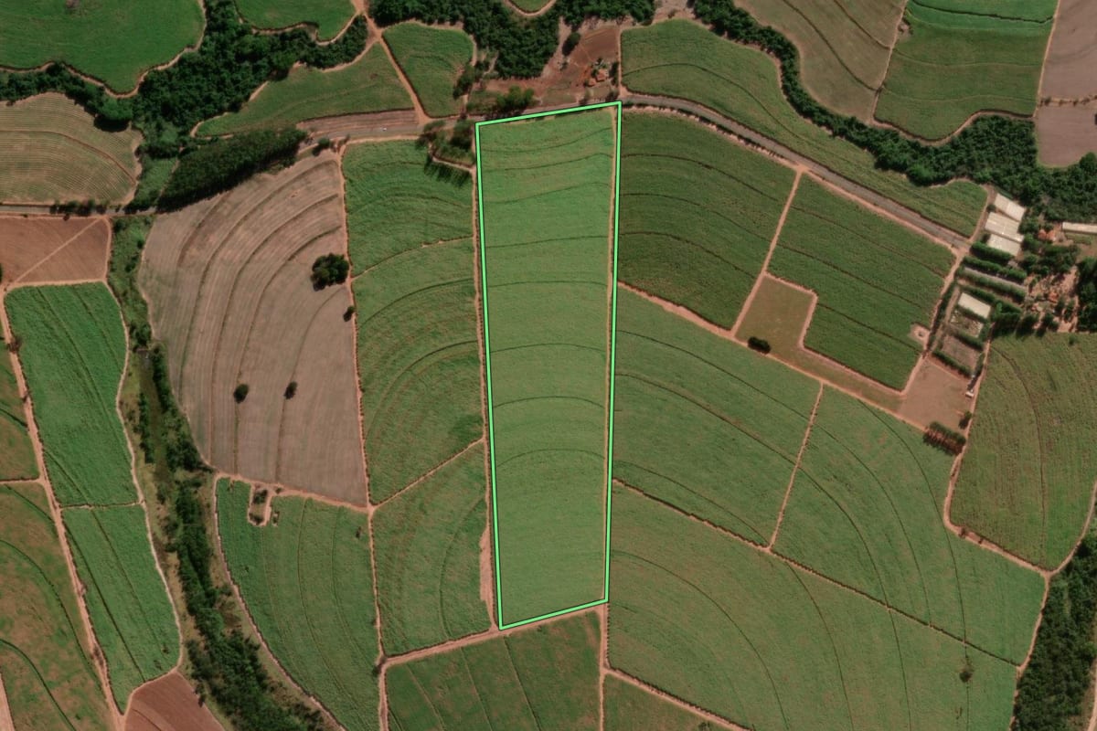 Imagem de satélite do imóvel rural em Tabatinga (SP), com o contorno declarado no CAR desenhado por cima.