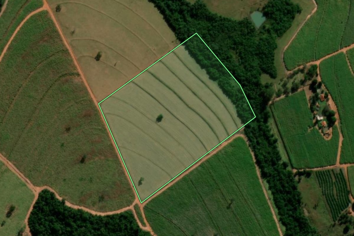 Imagem de satélite do imóvel rural em Tabatinga (SP), com o contorno declarado no CAR desenhado por cima.