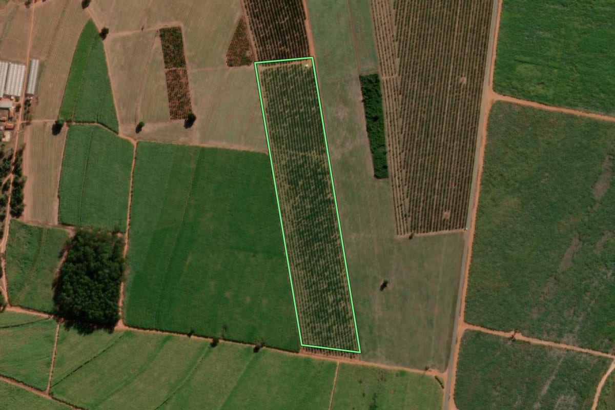 Imagem de satélite do imóvel rural em Tabatinga (SP), com o contorno declarado no CAR desenhado por cima.