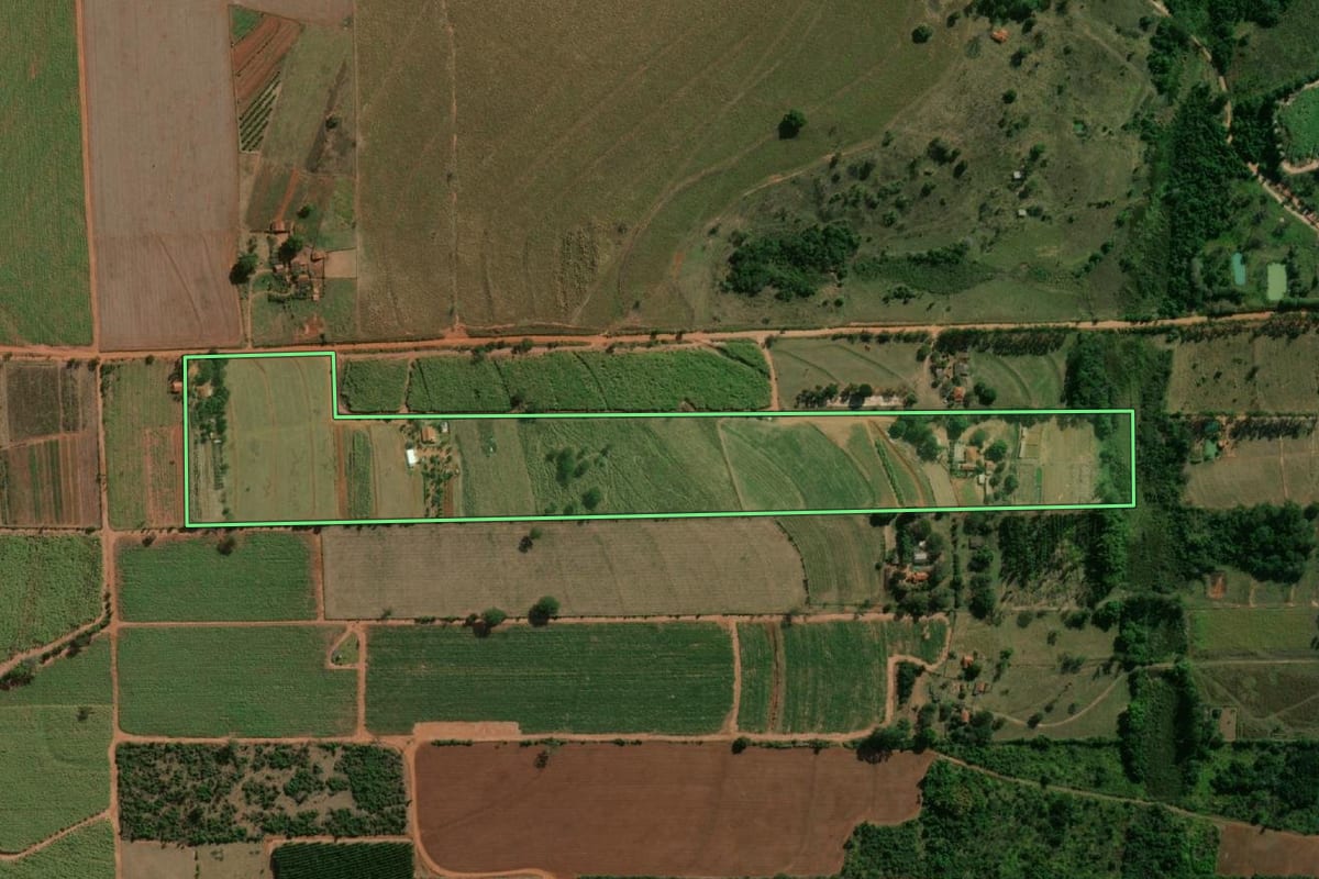Imagem de satélite do imóvel rural em Tabatinga (SP), com o contorno declarado no CAR desenhado por cima.