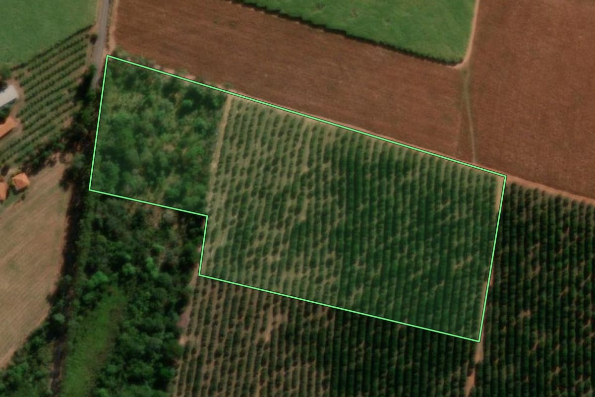 Imagem de satélite do imóvel rural em Tabatinga (SP), com o contorno declarado no CAR desenhado por cima.