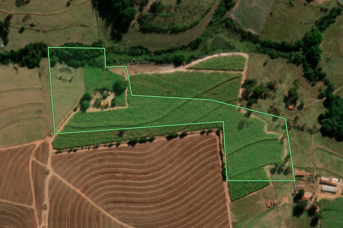 Imagem de satélite do imóvel rural em Tabatinga (SP), com o contorno declarado no CAR desenhado por cima.