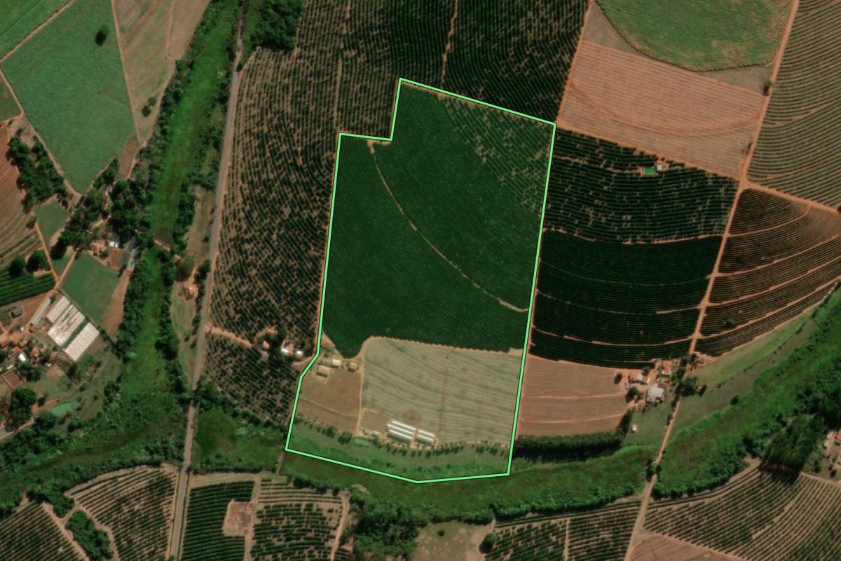 Imagem de satélite do imóvel rural em Tabatinga (SP), com o contorno declarado no CAR desenhado por cima.