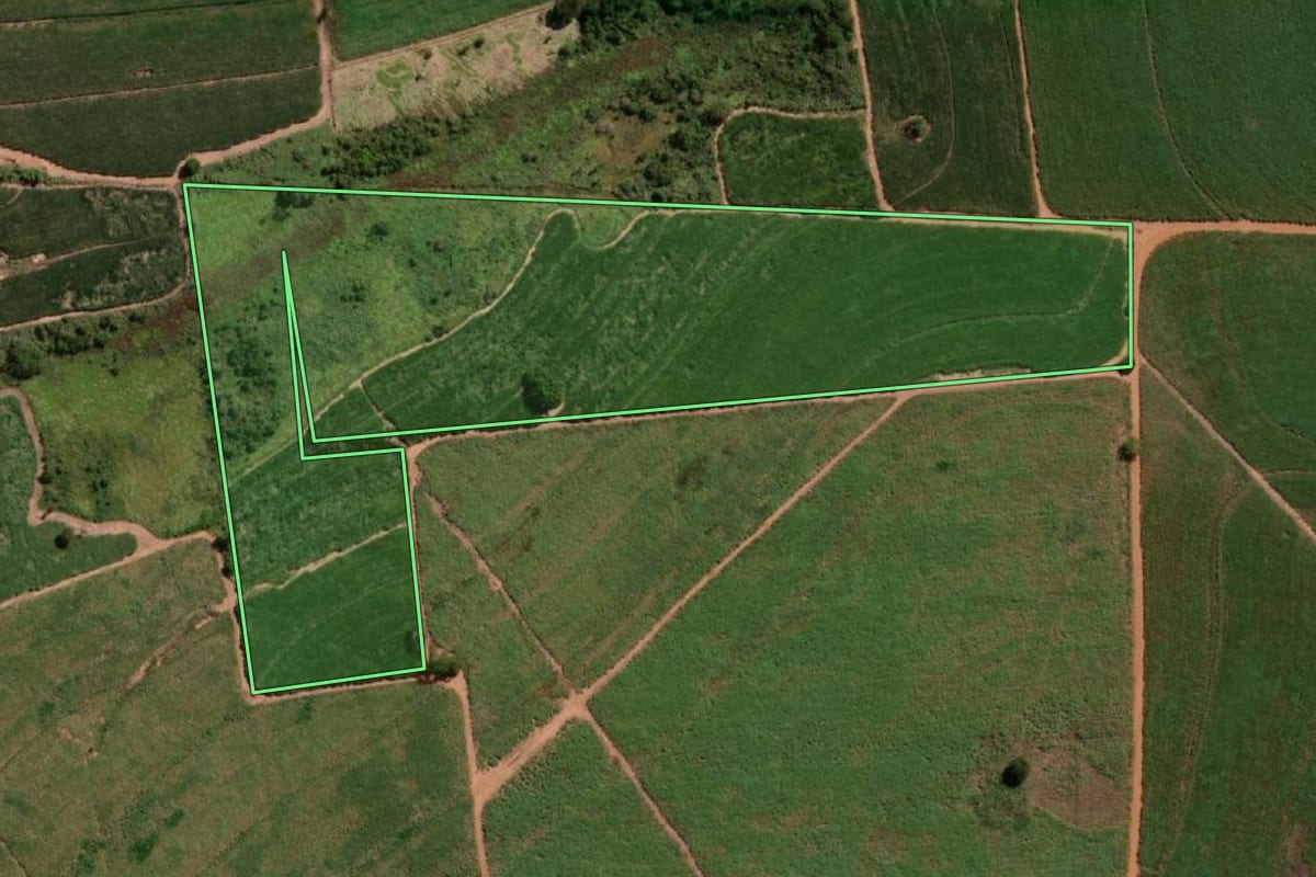 Imagem de satélite do imóvel rural em Tabatinga (SP), com o contorno declarado no CAR desenhado por cima.