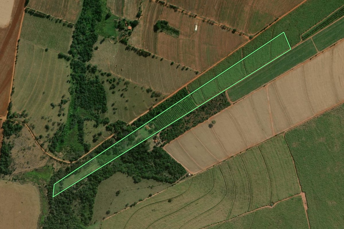 Imagem de satélite do imóvel rural em Tabatinga (SP), com o contorno declarado no CAR desenhado por cima.