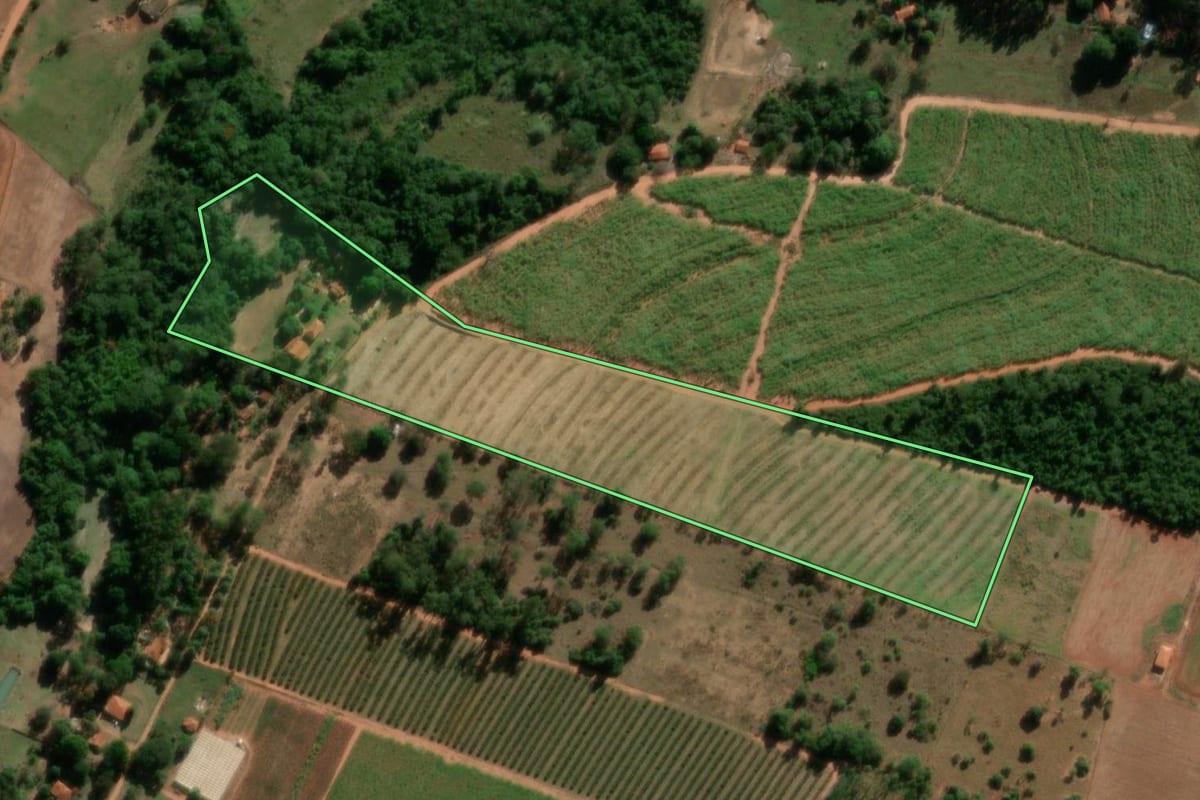 Imagem de satélite do imóvel rural em Tabatinga (SP), com o contorno declarado no CAR desenhado por cima.