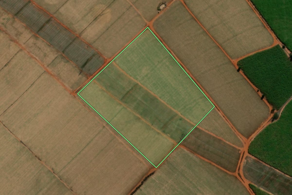Imagem de satélite do imóvel rural em Tabatinga (SP), com o contorno declarado no CAR desenhado por cima.