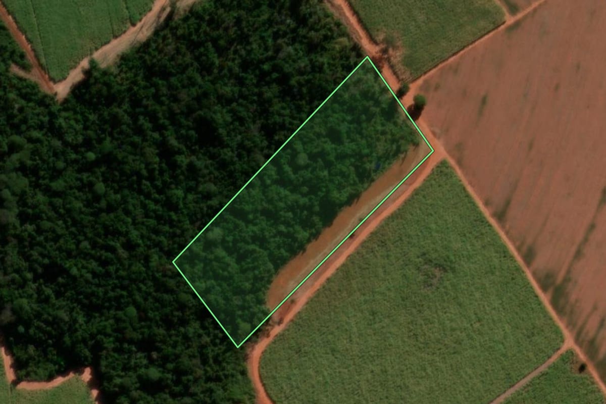 Imagem de satélite do imóvel rural em Tabatinga (SP), com o contorno declarado no CAR desenhado por cima.