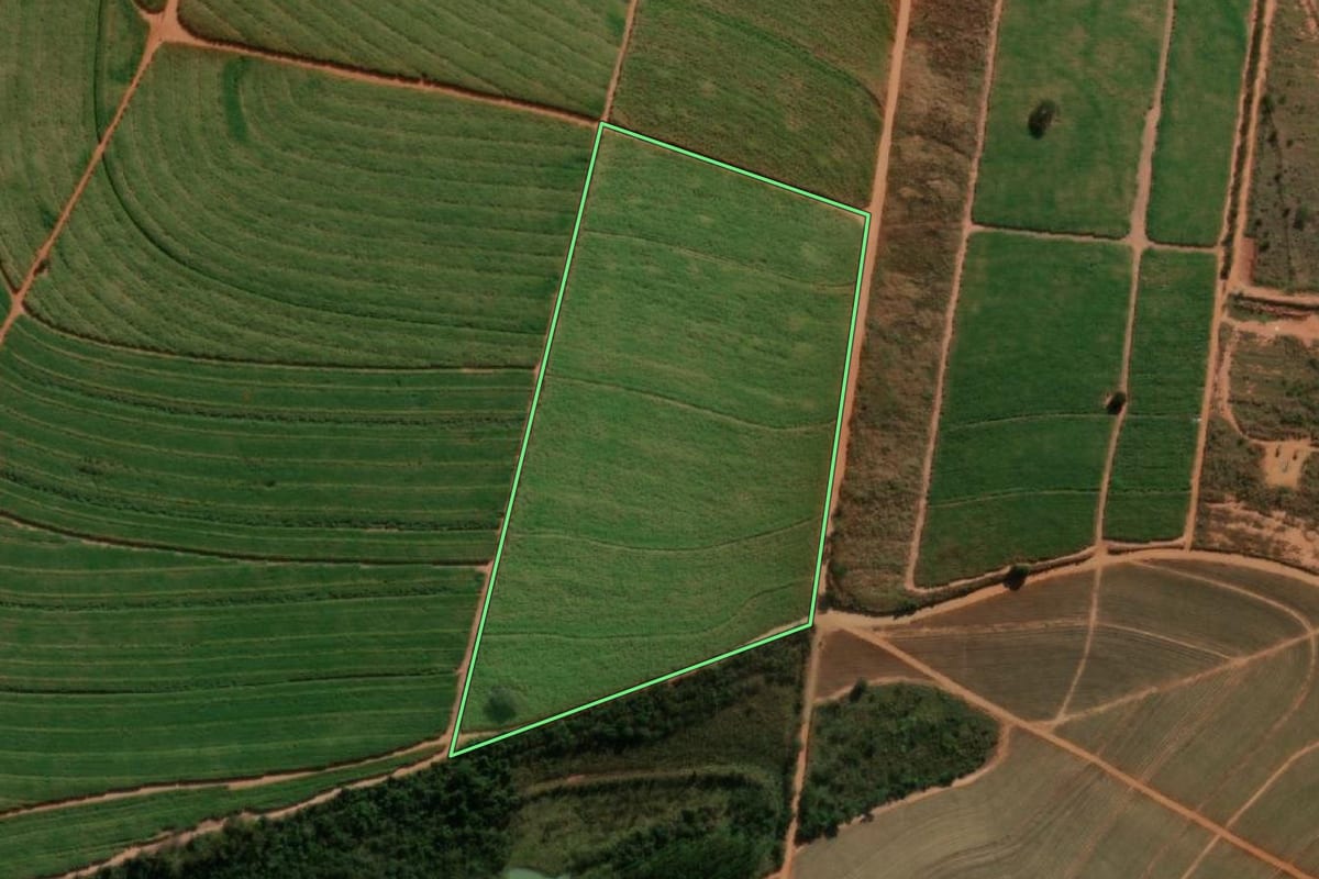 Imagem de satélite do imóvel rural em Tabatinga (SP), com o contorno declarado no CAR desenhado por cima.