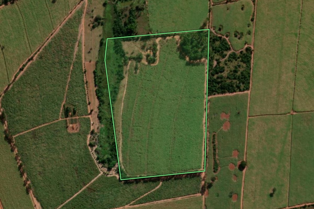 Imagem de satélite do imóvel rural em Tabatinga (SP), com o contorno declarado no CAR desenhado por cima.