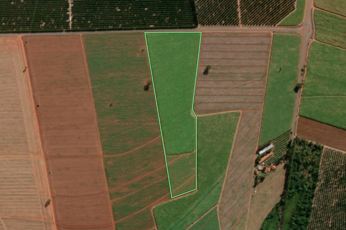 Imagem de satélite do imóvel rural em Tabatinga (SP), com o contorno declarado no CAR desenhado por cima.