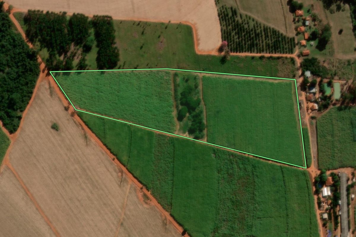 Imagem de satélite do imóvel rural em Tabatinga (SP), com o contorno declarado no CAR desenhado por cima.