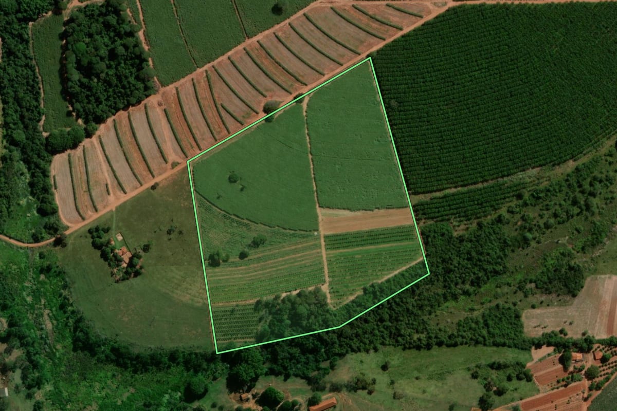 Imagem de satélite do imóvel rural em Tabatinga (SP), com o contorno declarado no CAR desenhado por cima.