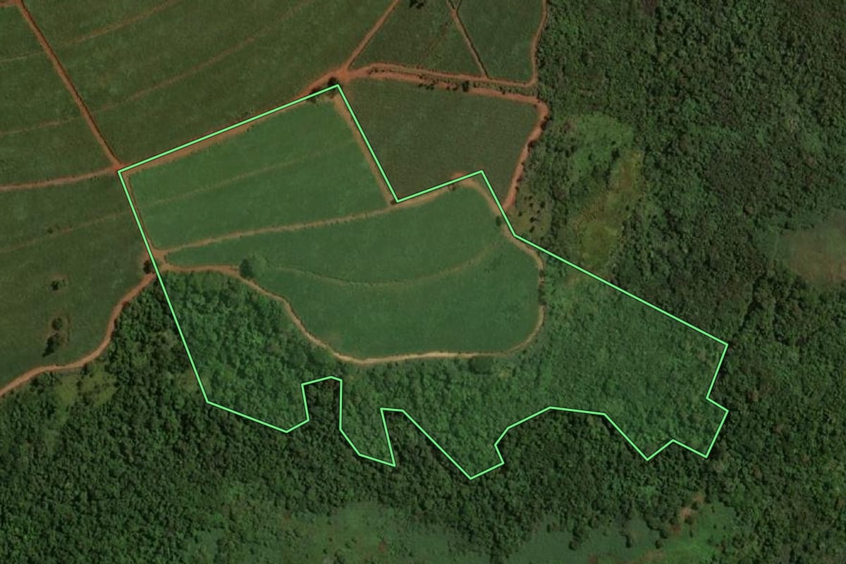 Imagem de satélite do imóvel rural em Tabatinga (SP), com o contorno declarado no CAR desenhado por cima.