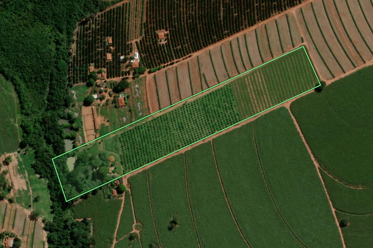 Imagem de satélite do imóvel rural em Tabatinga (SP), com o contorno declarado no CAR desenhado por cima.