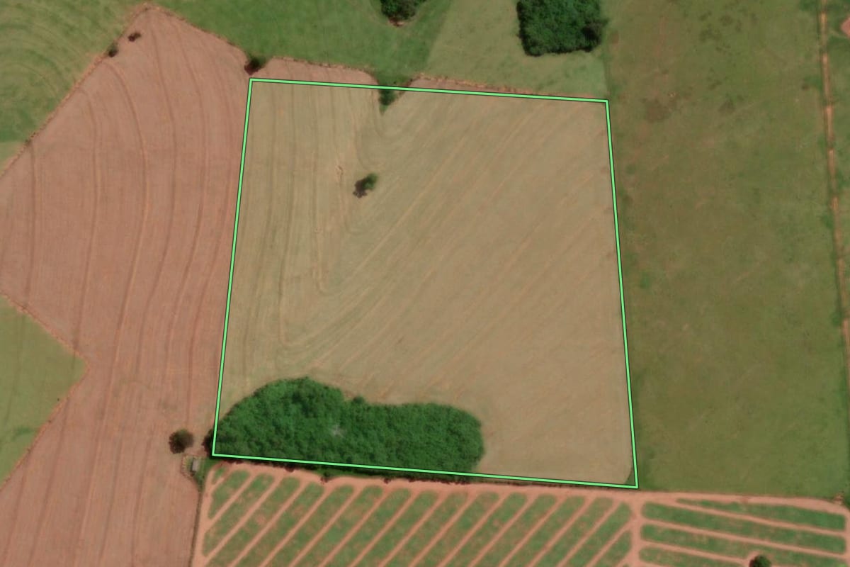 Imagem de satélite do imóvel rural em Taciba (SP), com o contorno declarado no CAR desenhado por cima.