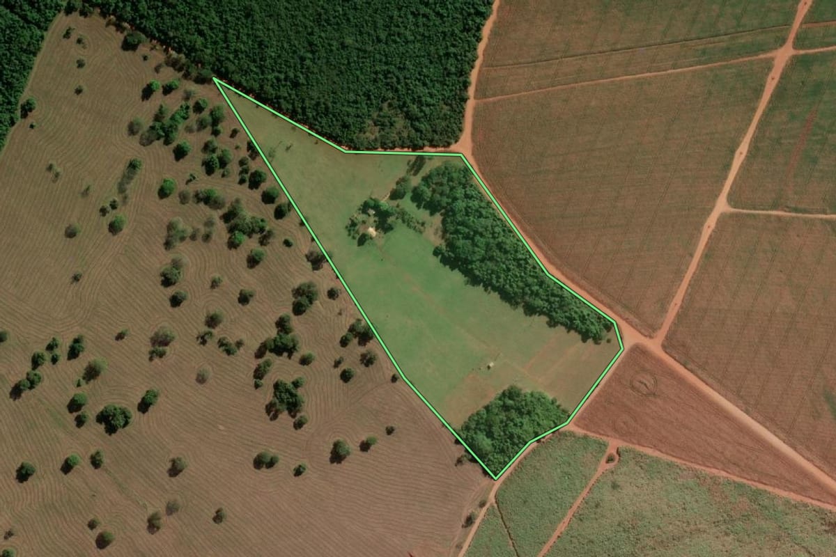 Imagem de satélite do imóvel rural em Taciba (SP), com o contorno declarado no CAR desenhado por cima.