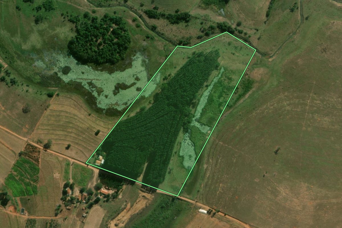Imagem de satélite do imóvel rural em Taciba (SP), com o contorno declarado no CAR desenhado por cima.