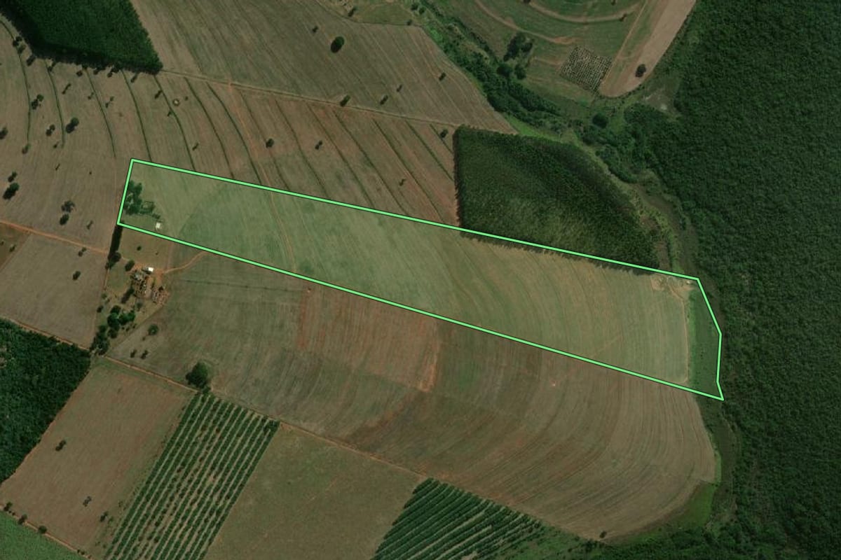 Imagem de satélite do imóvel rural em Taciba (SP), com o contorno declarado no CAR desenhado por cima.