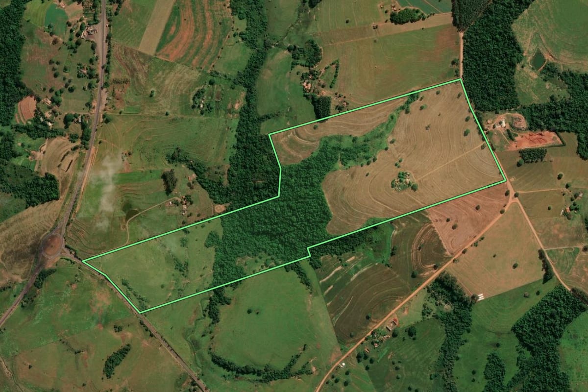 Imagem de satélite do imóvel rural em Taciba (SP), com o contorno declarado no CAR desenhado por cima.