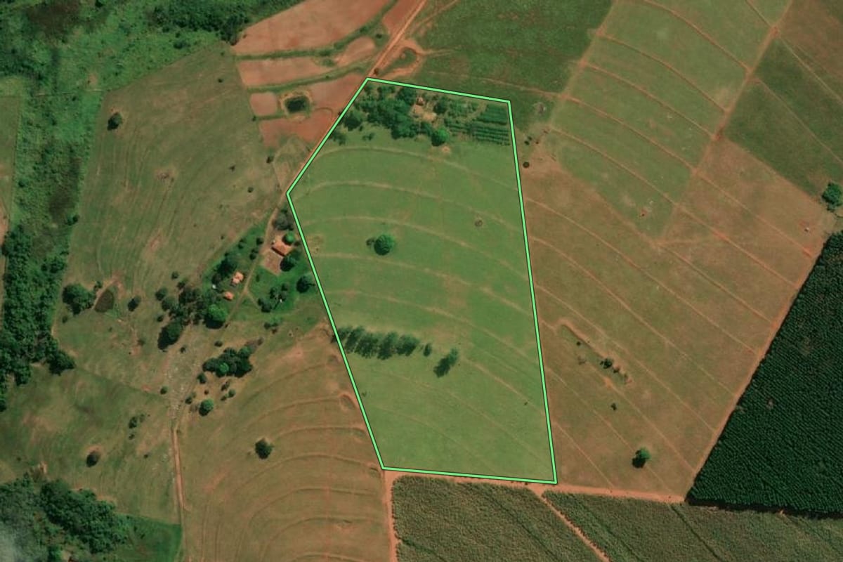 Imagem de satélite do imóvel rural em Taciba (SP), com o contorno declarado no CAR desenhado por cima.
