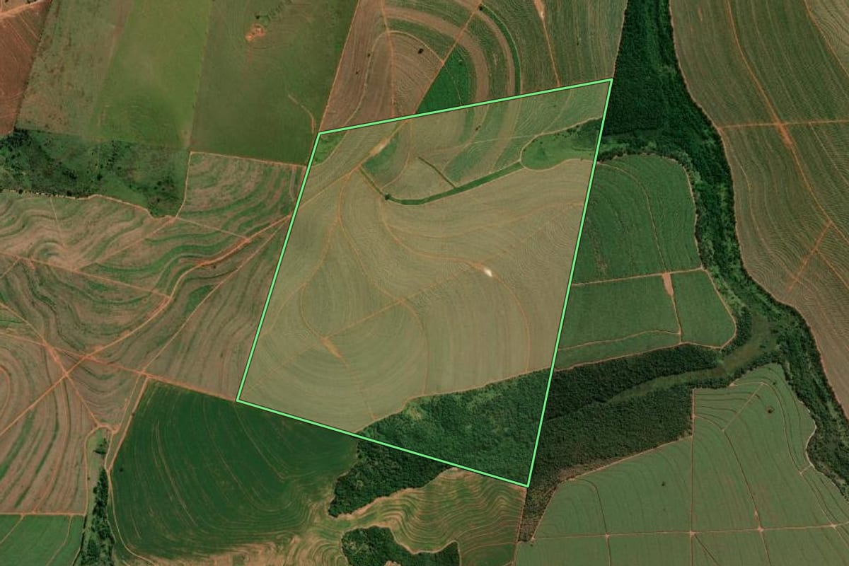 Imagem de satélite do imóvel rural em Taciba (SP), com o contorno declarado no CAR desenhado por cima.
