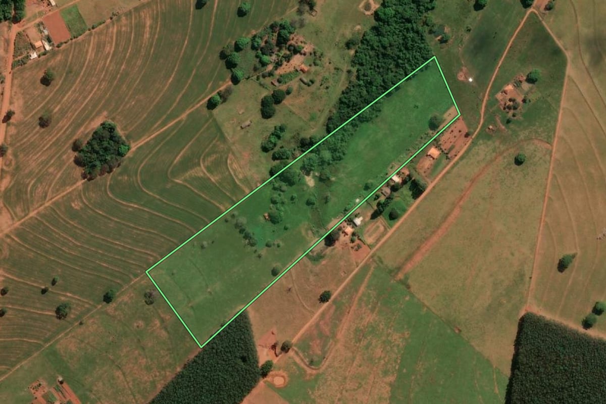Imagem de satélite do imóvel rural em Taciba (SP), com o contorno declarado no CAR desenhado por cima.