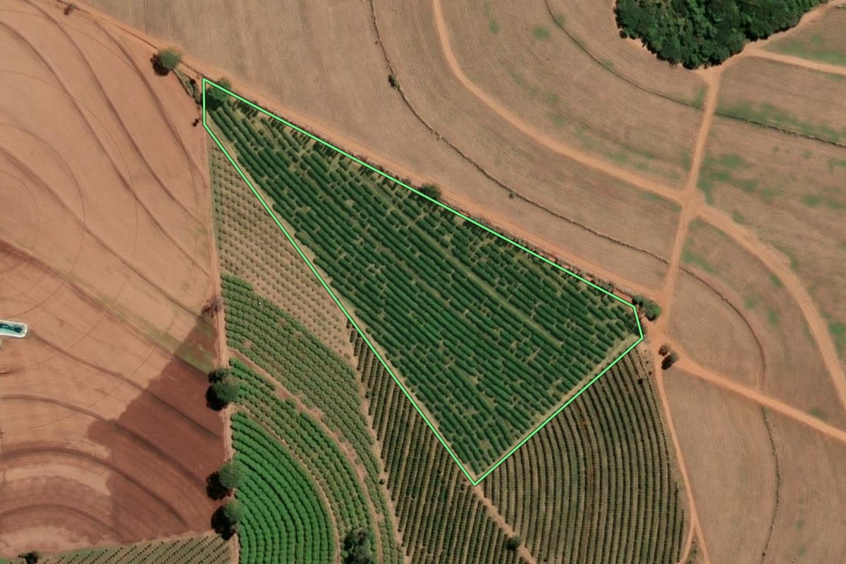 Imagem de satélite do imóvel rural em Taiaçu (SP), com o contorno declarado no CAR desenhado por cima.