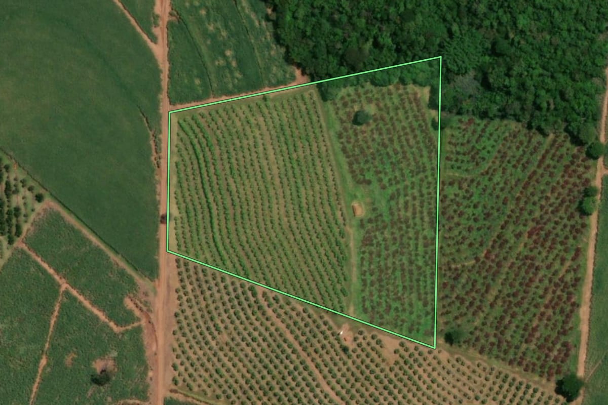 Imagem de satélite do imóvel rural em Taiaçu (SP), com o contorno declarado no CAR desenhado por cima.