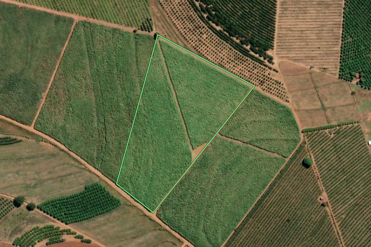 Imagem de satélite do imóvel rural em Taiaçu (SP), com o contorno declarado no CAR desenhado por cima.