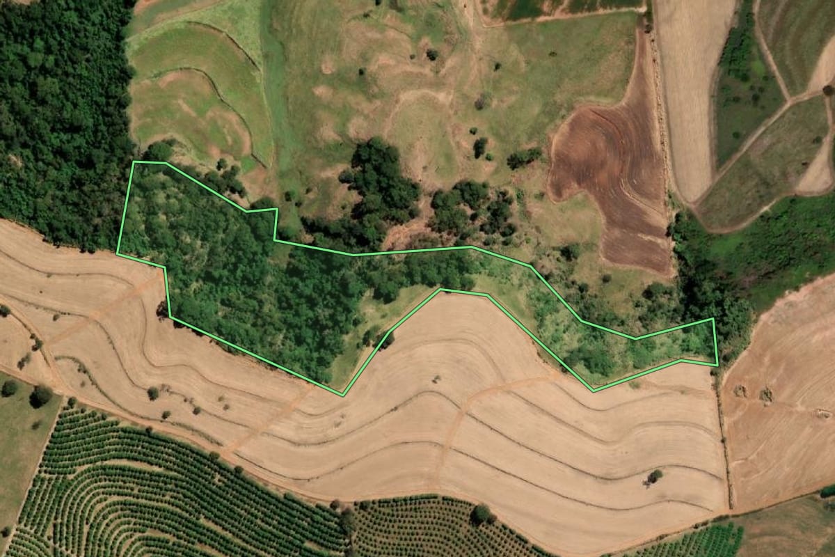 Imagem de satélite do imóvel rural em Taiaçu (SP), com o contorno declarado no CAR desenhado por cima.
