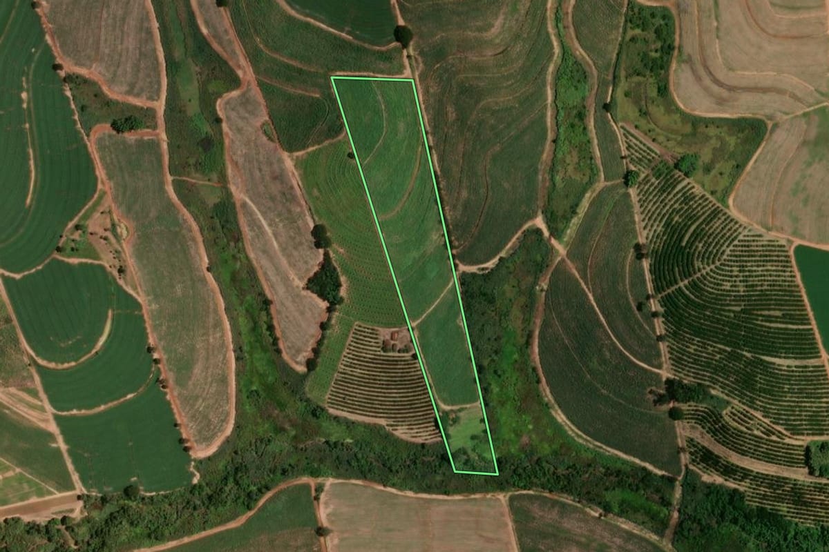 Imagem de satélite do imóvel rural em Taiúva (SP), com o contorno declarado no CAR desenhado por cima.