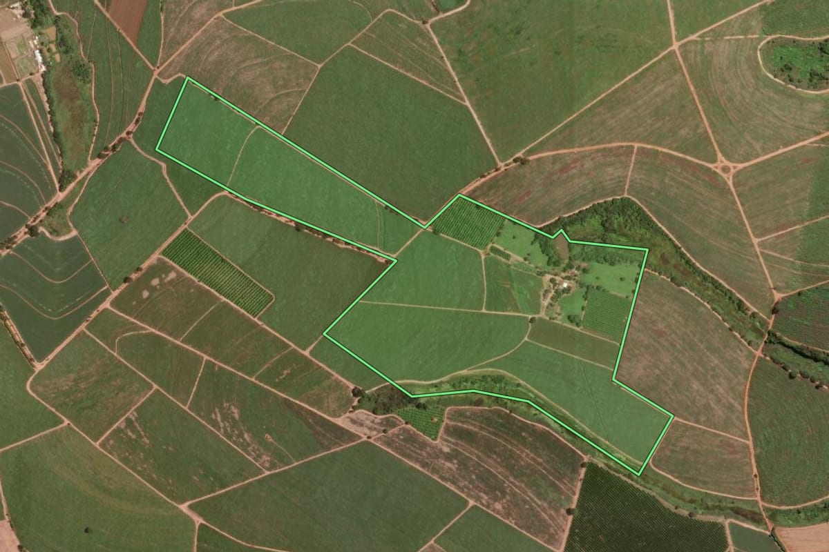 Imagem de satélite do imóvel rural em Taiúva (SP), com o contorno declarado no CAR desenhado por cima.