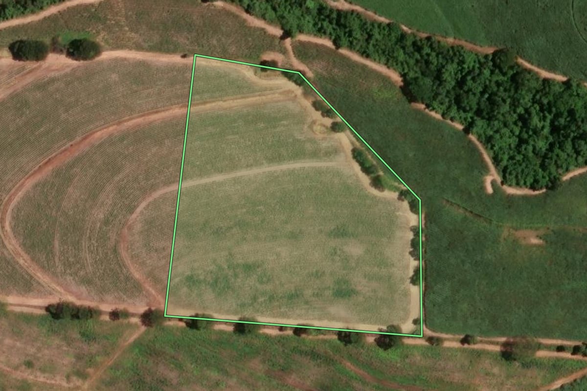 Imagem de satélite do imóvel rural em Taiúva (SP), com o contorno declarado no CAR desenhado por cima.