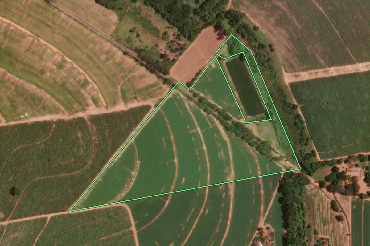 Imagem de satélite do imóvel rural em Taiúva (SP), com o contorno declarado no CAR desenhado por cima.