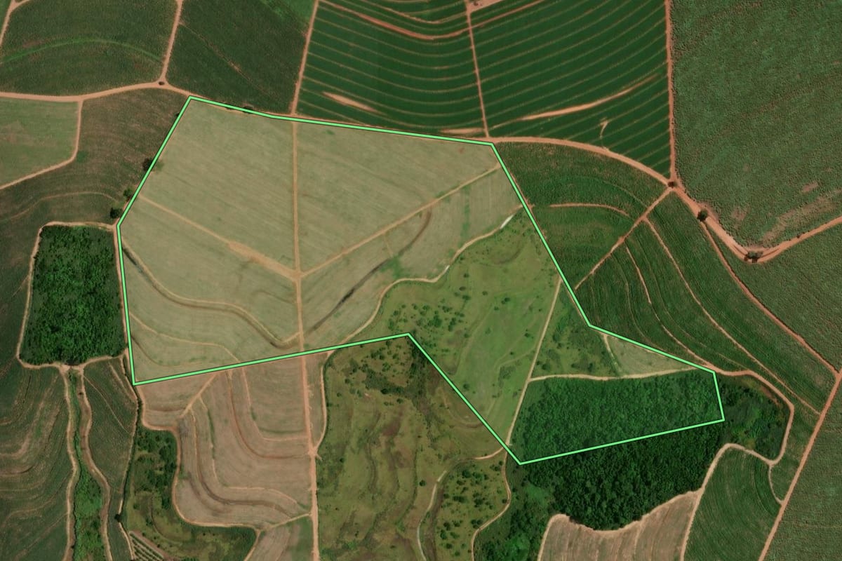 Imagem de satélite do imóvel rural em Taiúva (SP), com o contorno declarado no CAR desenhado por cima.