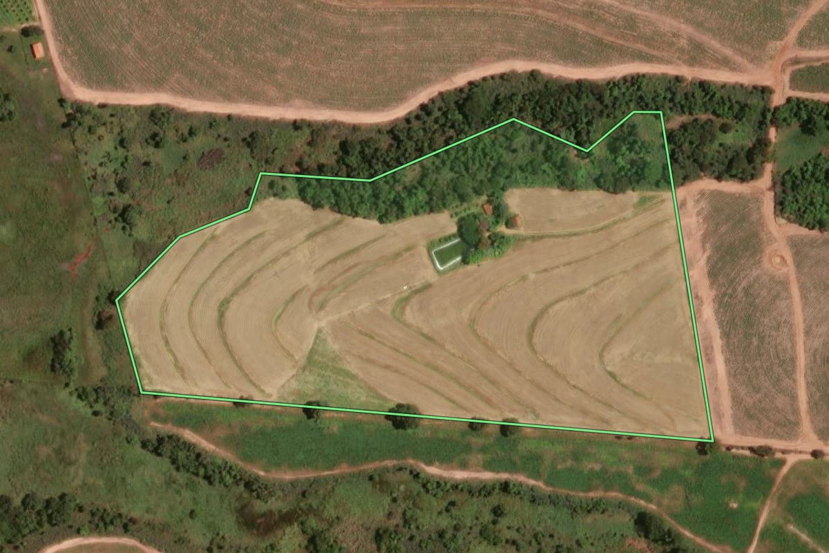 Imagem de satélite do imóvel rural em Taiúva (SP), com o contorno declarado no CAR desenhado por cima.