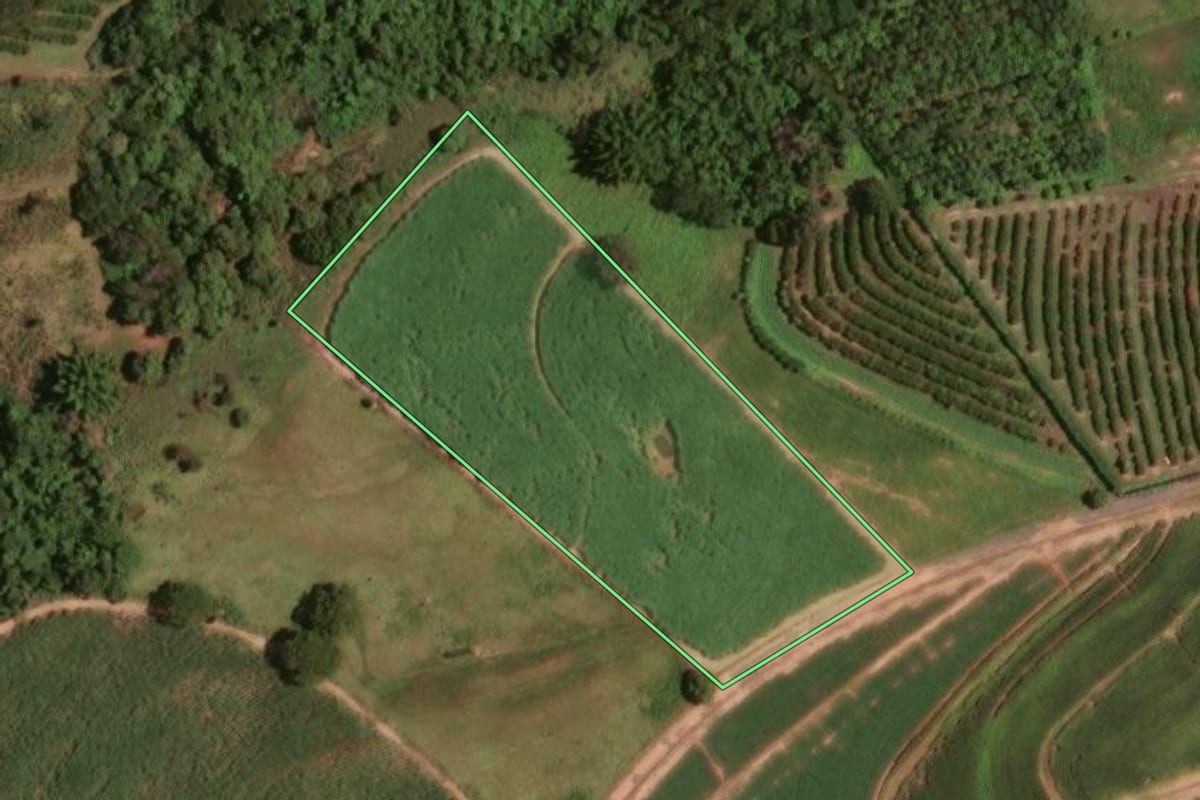 Imagem de satélite do imóvel rural em Taiúva (SP), com o contorno declarado no CAR desenhado por cima.
