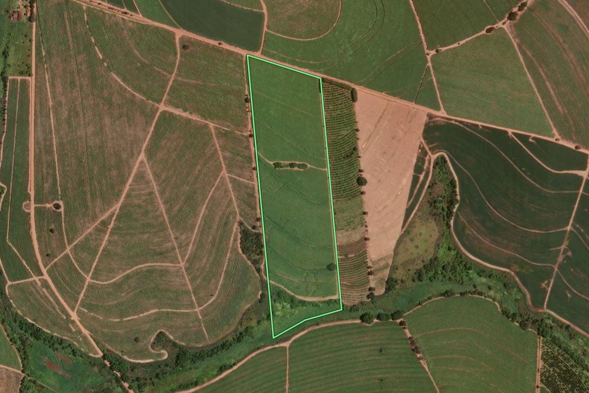 Imagem de satélite do imóvel rural em Taiúva (SP), com o contorno declarado no CAR desenhado por cima.