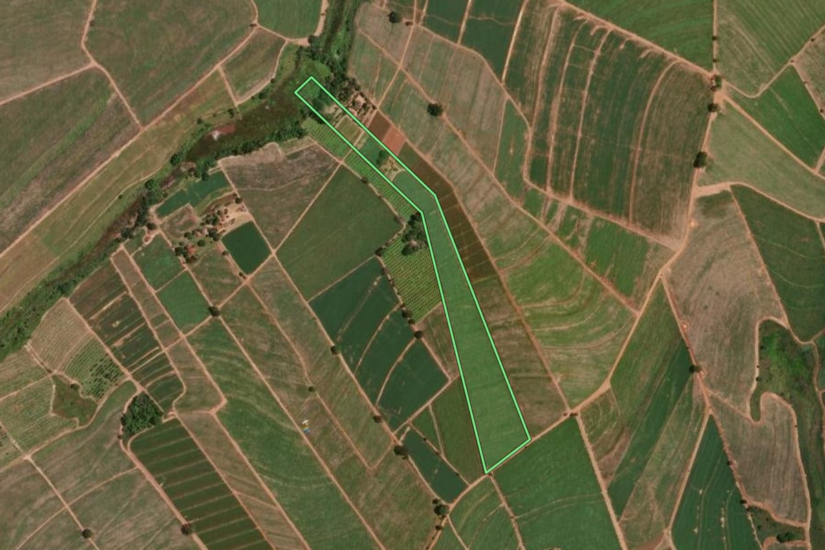 Imagem de satélite do imóvel rural em Taiúva (SP), com o contorno declarado no CAR desenhado por cima.