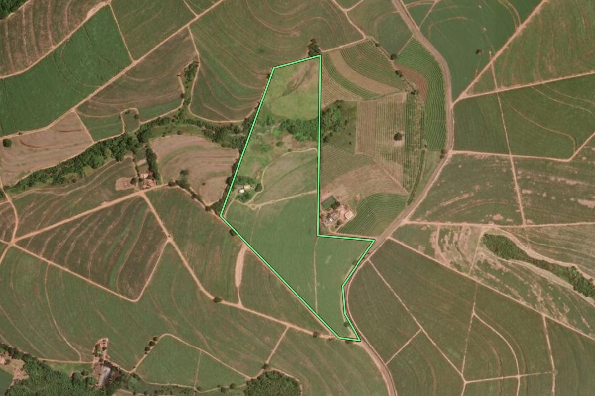 Imagem de satélite do imóvel rural em Taiúva (SP), com o contorno declarado no CAR desenhado por cima.