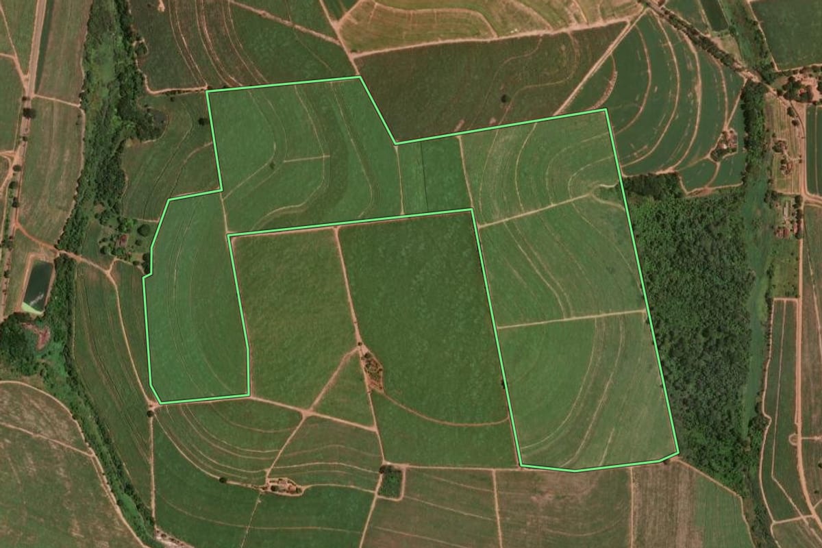Imagem de satélite do imóvel rural em Taiúva (SP), com o contorno declarado no CAR desenhado por cima.
