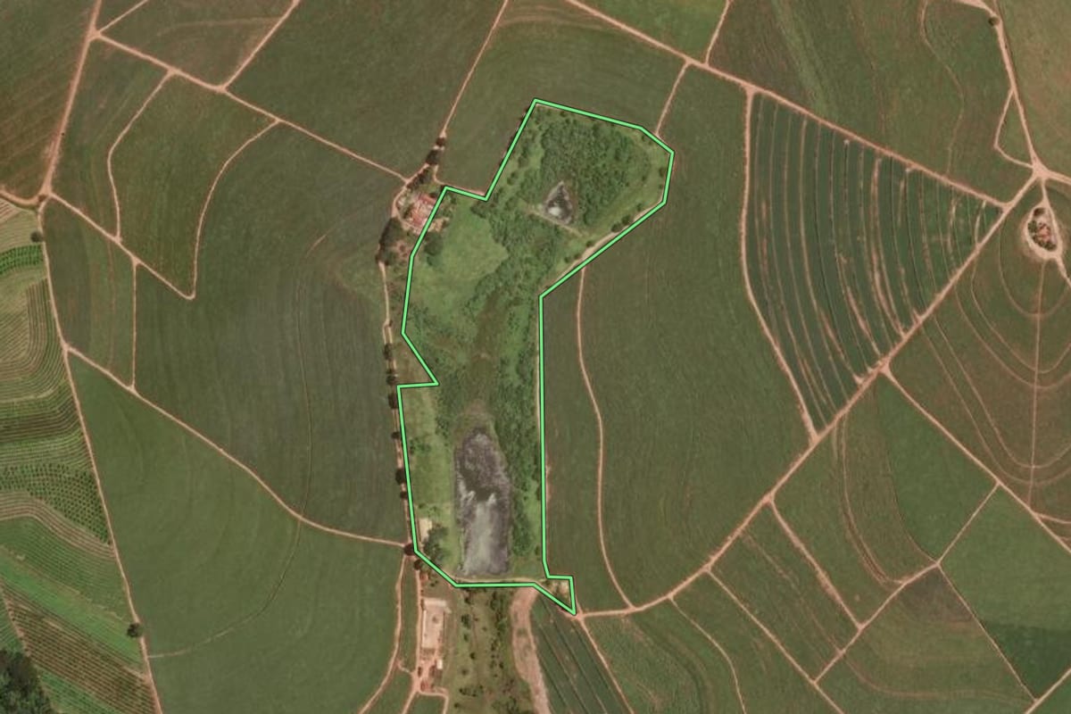 Imagem de satélite do imóvel rural em Taiúva (SP), com o contorno declarado no CAR desenhado por cima.